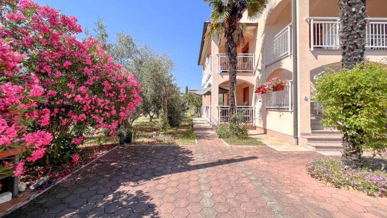 Viola Three Apartment Novigrad  Ngoại thất bức ảnh