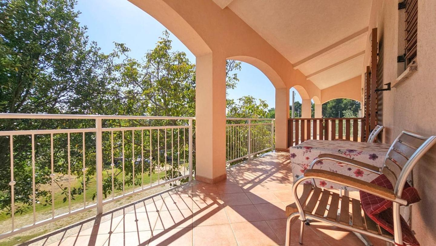 Viola Three Apartment Novigrad  Ngoại thất bức ảnh
