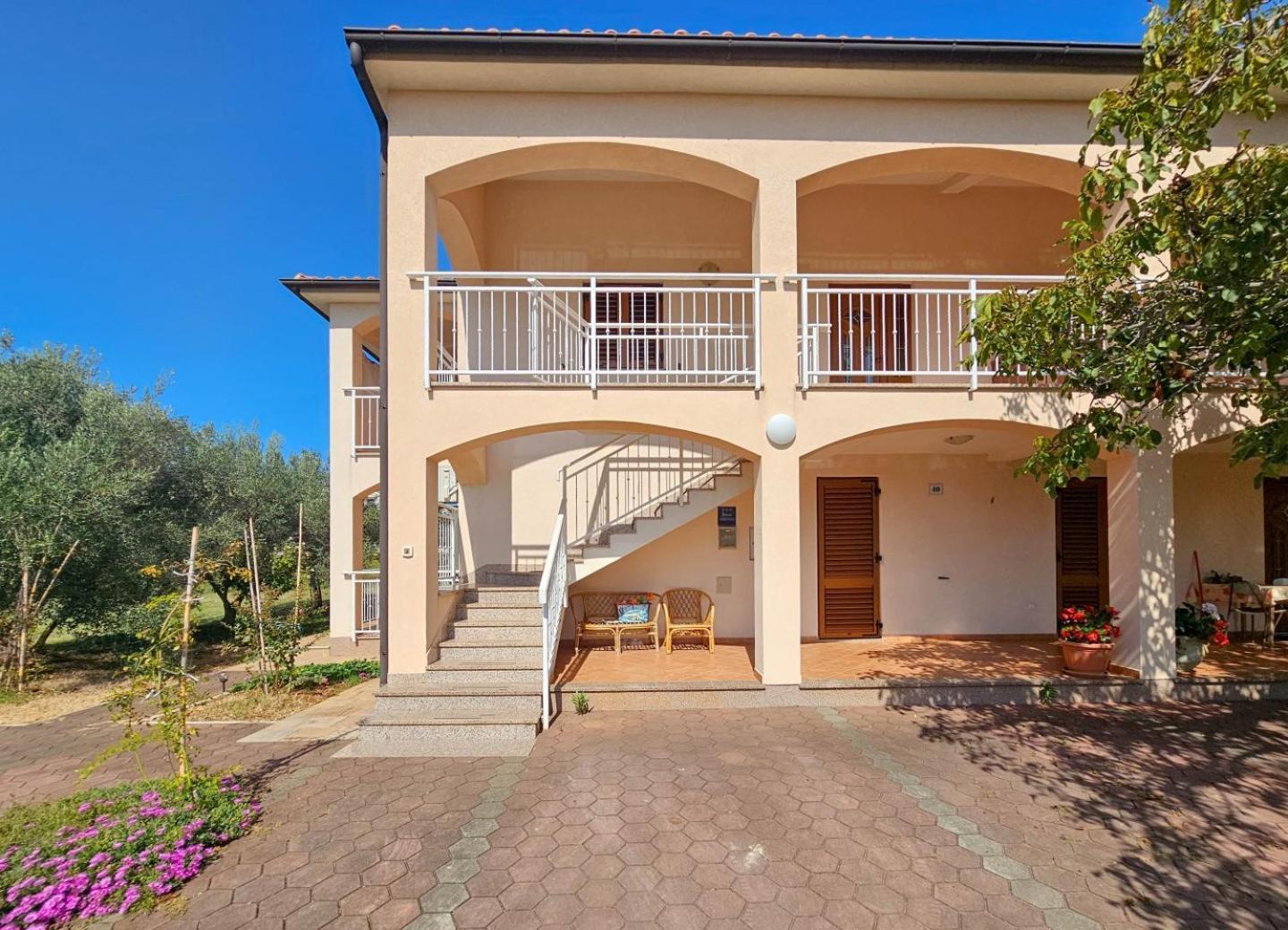Viola Three Apartment Novigrad  Ngoại thất bức ảnh